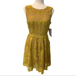 NWT Lace Fit & Flare Dress